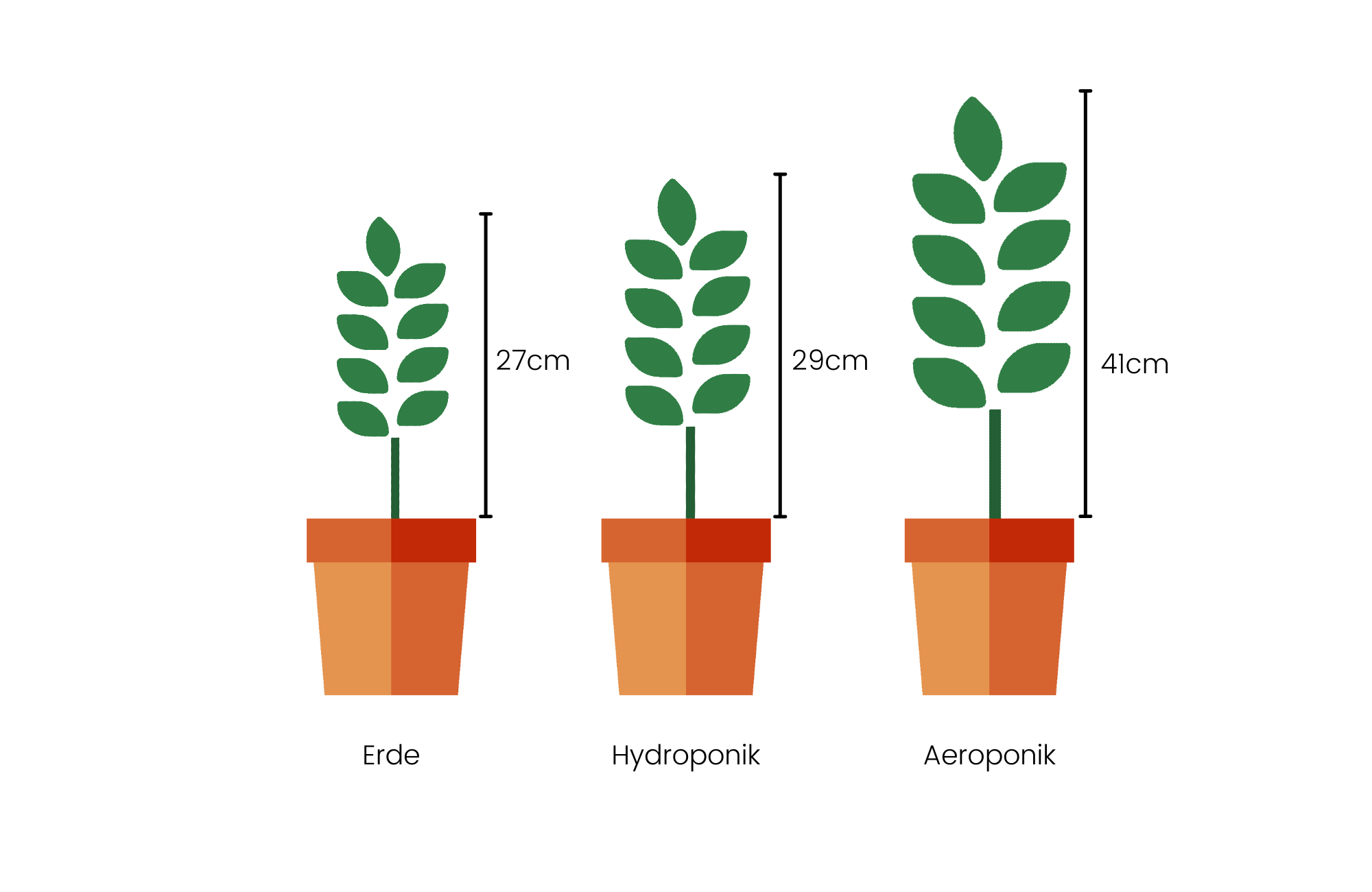 Aeroponik VS. Erde & Hydroponik